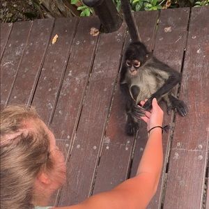 Meet your Posher, Allie